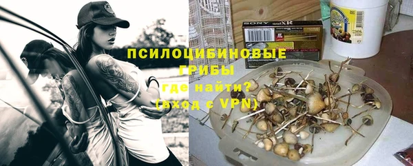 экстази Арсеньев